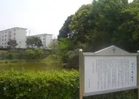 信太の森の鏡池史跡公園の写真・動画_image_133613