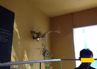 カフェ ココット CoCotteの写真・動画_image_133643