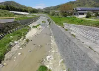 奥畑川の写真・動画_image_133992