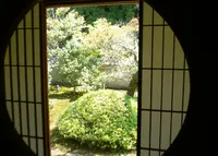 御寺泉涌寺 別院 雲龍院の写真・動画_image_134012