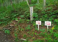 上大石神ピラミッドの写真・動画_image_134146