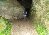 名越切通の写真・動画_image_134375