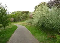 水沢の森（菅生緑地西地区）の写真・動画_image_134447