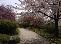 久世ニューリバー公園の写真・動画_image_134528