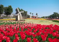国営明石海峡公園の写真・動画_image_134530