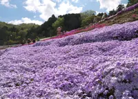 ヤマサ蒲鉾（株）の写真・動画_image_134537