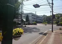 鹿沼市役所の写真・動画_image_134553