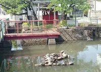 鹿沼市役所の写真・動画_image_134578