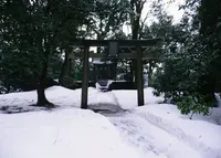 水戸明神の写真・動画_image_134814