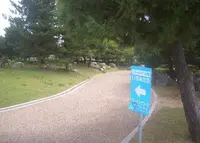 りんくう公園の写真・動画_image_135028