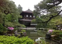 銀閣寺(東山慈照寺)の写真・動画_image_135132