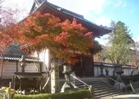 天野山金剛寺（女人高野）の写真・動画_image_135153