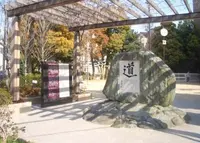 大開公園の写真・動画_image_135613