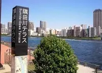 隅田川の写真・動画_image_136000