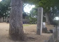 天王の森の写真・動画_image_137237