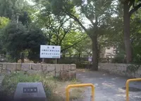 今川緑道の写真・動画_image_137465