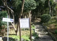 山畑古墳群の写真・動画_image_137538