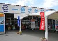 一色さかな広場の写真・動画_image_137688