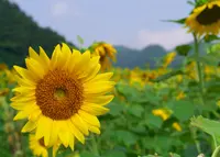 西下野の写真・動画_image_138257