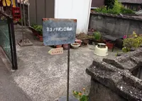 ネコノテパン工場の写真・動画_image_138282