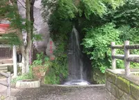 あたご滝（バス）の写真・動画_image_138571