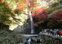 明治の森箕面国定公園の写真・動画_image_138765