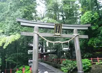 日光二荒山神社の写真・動画_image_139034
