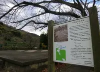 河内国分寺の写真・動画_image_139151