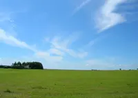 中標津町緑ヶ丘森林公園 キャンプ場の写真・動画_image_139957