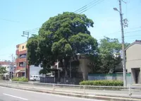 松虫塚の写真・動画_image_140256