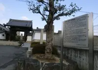 来迎寺の写真・動画_image_140320