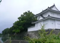 元離宮 二条城の写真・動画_image_140654