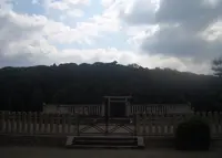 応神陵古墳の写真・動画_image_141842