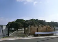 河内大塚山古墳の写真・動画_image_141843
