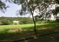 荒山公園の写真・動画_image_143114
