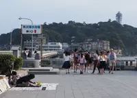 江の島大橋の写真・動画_image_144465