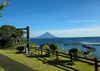 番所鼻自然公園の写真・動画_image_147705