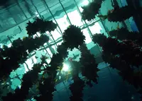 仙台うみの杜水族館の写真・動画_image_148501