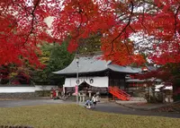 春日神社の写真・動画_image_1493956