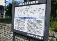 川崎池公園の写真・動画_image_150592