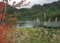 高浪池の写真・動画_image_150915