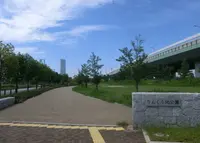 りんくう北公園の写真・動画_image_151818
