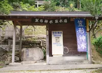 グリーンエコー笠形の写真・動画_image_152007