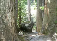 白山中居神社の写真・動画_image_152429