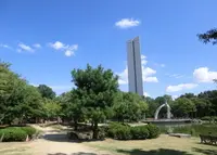 大仙公園の写真・動画_image_154069