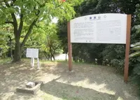 蘇鉄山の写真・動画_image_154082