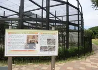 猿飼育舎の写真・動画_image_154083