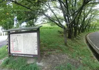 王仁塚の写真・動画_image_154757