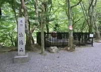 牛滝山の写真・動画_image_154861