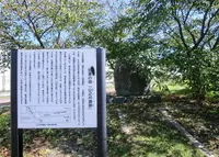 山之井遺跡の写真・動画_image_155632